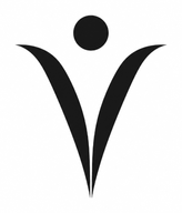 VitalAir